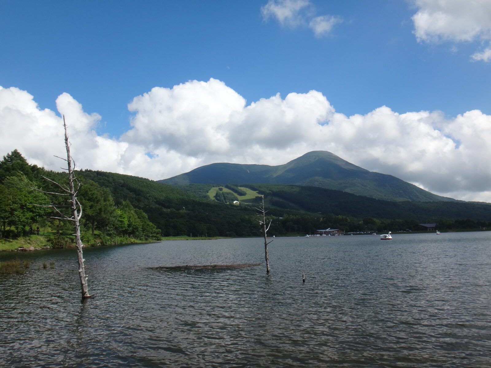 蓼科山
