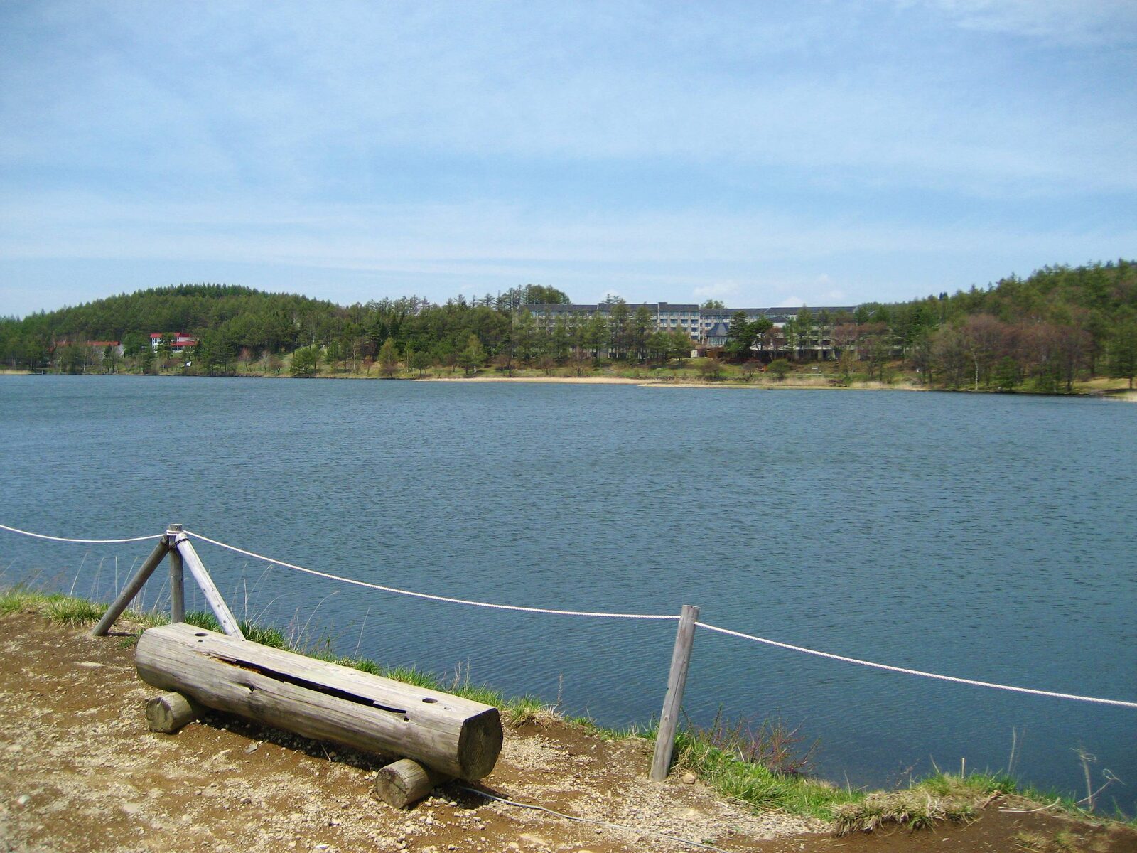 全景